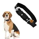 Sage Square Dog Nylon Collar Adjustable | Durable Pet Collar with Strong Buckle & Metal D-Ring | Comfortable Soft Dog Neck Collar for Daily Use Training Walking Outdoor Safety Collar for Dogs | Medium
