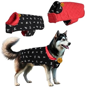 sage square dog print reversible winter coat  insulated jacket with adjustable strap soft lining stylish polka dot design warm lightweight perfect for winter adventures printed 5xl - 28 inch