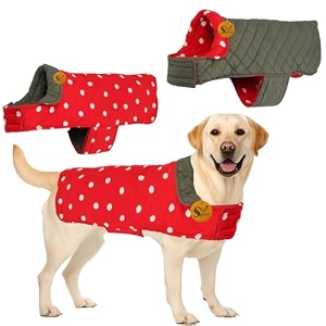 sage square dual-sided polka dot dog jacket  protective cold-weather gear for pets lightweight cushioned designed for warmth amp comfort indoors or outside polka red 4xl - 26 inch