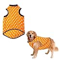Sage Square Funky Soft Material Dog T-Shirt | Cool/Funky Print Pet | Soft Light Weight | Comfortable &amp; Breathable Dog Clothing | Trendy Vest Outfit (Large - 22inches, Polka Orange)