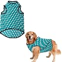 Sage Square Funky Soft Material Dog T-Shirt | Cool/Funky Print Pet | Soft Light Weight | Comfortable &amp; Breathable Dog Clothing | Trendy Vest Outfit (Medium - 16inches, Polka Sky Blue)