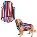 Sage Square Funky Soft Material Dog T-Shirt | Cool/Funky Print Pet | Soft Light Weight | Comfortable &amp; Breathable Dog Clothing | Trendy Vest Outfit (XLarge - 26inches, Colorful Stripes Print)