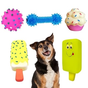 sage square premium squeaky toy set of 5 for dogs - durable chewable rubber toys multiple fun shapes amp colors for interactive play teething relief keeps entertained happy combo no 1