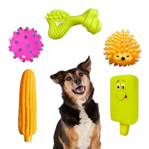 sage square premium squeaky toy set of 5 for dogs - durable chewable rubber toys multiple fun shapes amp colors for interactive play teething relief keeps entertained happy combo no 5