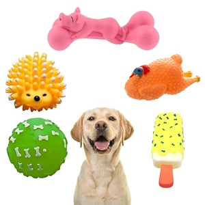 sage square premium squeaky toy set of 5 for dogs - durable chewable rubber toys multiple fun shapes amp colors for interactive play teething relief keeps entertained happy combo no 4