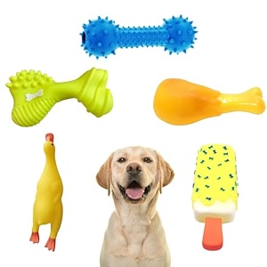 sage square premium squeaky toy set of 5 for dogs - durable chewable rubber toys multiple fun shapes amp colors for interactive play teething relief keeps entertained happy combo no 6