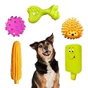 Sage Square Premium Squeaky Toy Set of 5 for Dogs - Durable, Chewable, Rubber Toys, Multiple Fun Shapes & Colors for Interactive Play, Teething Relief, Keeps Entertained, Happy (Combo No. 5)