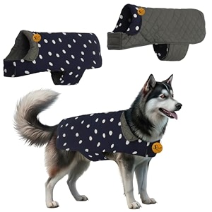 sage square reversible polka dot dog winter coat  weatherproof pet jacket insulated adjustable soft amp snug for warm amp cozy comfort for indoor amp outdoor polka navy blue 6xl - 30 inch