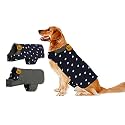 Sage Square Reversible Polka Dot Dog Winter Coat – Weatherproof Pet Jacket, Insulated, Adjustable, Soft &amp; Snug for Warm &amp; Cozy Comfort for Indoor &amp; Outdoor (Small-Medium - 16 Inches, Navy Blue &amp; Grey)