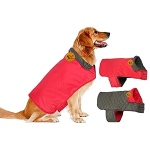 sage square soft and warm dog winter coat stylish dog winter coat waterproof and windproof winter coat to keep your dog warm durable winter coat for dogs small - 12 inches red
