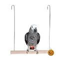 Sage Square Swing Perch Wire 6x8 - The Ultimate Wooden Swing Toy for Budgies, Canaries, Parakeets, Lovebirds, &CockatielsGive Your Bird The Perfect Training Aid and Playground, Engage Your Bird's