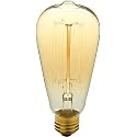 SAH E27 Base 4Watt Filament Light Bulb | Warm White Yellowish Colour | Dimmable | Industrial | Edison Tungsten Squirrel Cage Bulb | 370 Lumens| Incandescent Bulb (Pack of 1)
