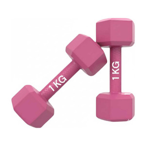 Sahib Trader PINK 1 KG HEX DUMBBELL