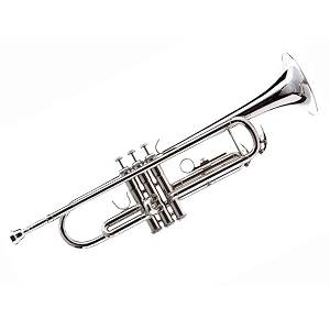 sai msuical super band musicals shehnai flute - trumpet - silver