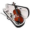 SAI MUSICAL violin with case