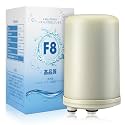 Saillong 1 Pack F8 Filter Replacement Cartridge, Compatible with HG-N Type Water Ionizer, Compatible with Enagic Kangen LeveLuk SD501, JrIV, K8 (Not Original Type Before 2010)
