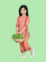 SAJJAD DRESSES clothing set Printed Girls Suit