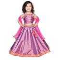 Saka Designs Purple Magenta Lehenga Choli With