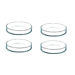 salco borosilicate glass petri dish set of 1 - 2 inch