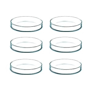 salco borosilicate glass petri dish set of 1 - 2 inch