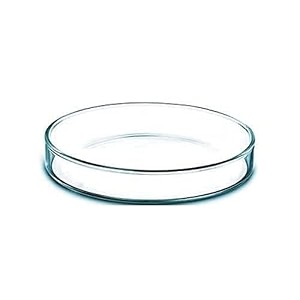 salco borosilicate glass petri dish set of 1 - 2 inch