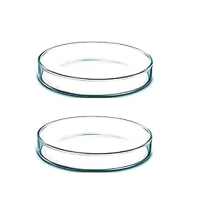 salco borosilicate glass petri dish set of 1 - 2 inch