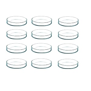 salco borosilicate glass petri dish set of 1 - 6 inch