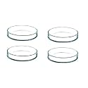 Salco Borosilicate Glass Petri Dish Set of 1 - (2 Inch)