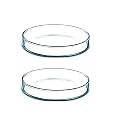 Salco Borosilicate Glass Petri Dish Set of 1 - (2 Inch)