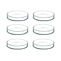Salco Borosilicate Glass Petri Dish Set of 1 - (2 Inch)