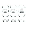 Salco Borosilicate Glass Petri Dish Set of 1 - (2 Inch)