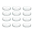 Salco Borosilicate Glass Petri Dish Set of 1 - (2 Inch)