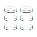 Salco Borosilicate Glass Petri Dish Set of 1 - (2 Inch)