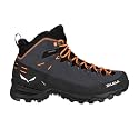 Salewa Men's Alp