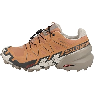 Salomon Mens XA Pro 3D Ultra GTX