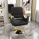 Salon Chair for Hair Stylist Hydraulic, Non-Tilting Backrest 3