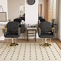 Salon Chair for Hair Stylist Hydraulic, Non-Tilting Backrest, Tufting 2