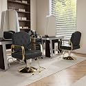 Salon Chair for Hair Stylist Hydraulic, Non-Tilting Backrest, Tufting