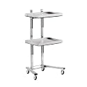 Salon Rolling Trolley with Foldable Design and Stainless Steel Construction for Hairdressing Black Beauty Cart with Wheels and Tray Storage,Silver-40 * 30 * 86cm