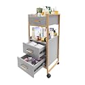 Salon Trolley Cart with Wheels, Spa Storage Systems with 3 Drawers and Hair Dryer Holder Hairstylist Station Rolling Tattoo Cart Makeup Organizer Beauty Equipment (Golden Gray)
