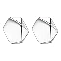 SALTY ALPHA Anti Tarnish Aaron Earrings for