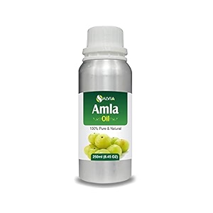 Salvia Amla Oil Phyllanthus emblica Herbal Oil
