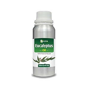 Salvia Eucalyptus Oil Eucalyptus globulus Essential Oil