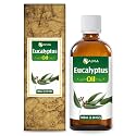 Salvia Eucalyptus Oil Eucalyptus globulus Essential Oil