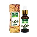 Salvia Eucalyptus Oil Eucalyptus globulus Essential Oil