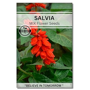 navika seeds  grow with us salvia flower seeds for home gardeningamp terrace gardening winter amp summer blooms in india-includes free e-book for kitchenbackyardgardening amp plantinghigh germination