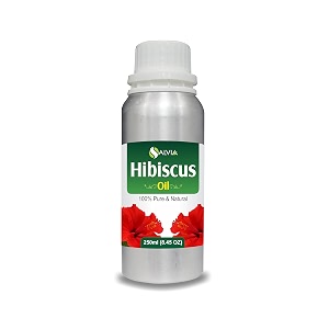 Salvia Hibiscus Hibiscus Rosa Sinensis. 100 Pure