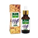 Salvia Lavender (Lavandula Angustifolia) |100% Pure &amp; Natural Undiluted Essential Oil - 50ml