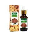 Salvia Malkangni Seed Oil 100% Natural Pure Undiluted Uncut Essential Oil - 30ml