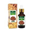 Salvia Malkangni Seed Oil 100% Natural Pure Undiluted Uncut Essential Oil - 50ml